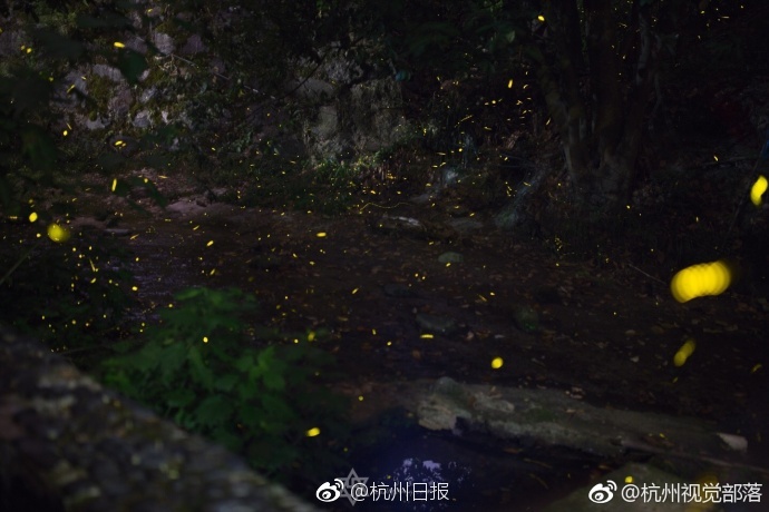 五月激情黄色网站
