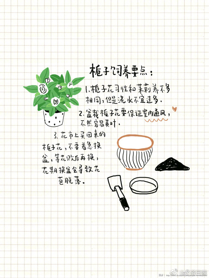 林予曦《兄妹》