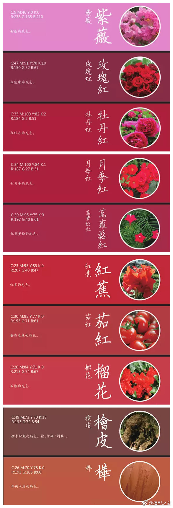 拳交黄片视频