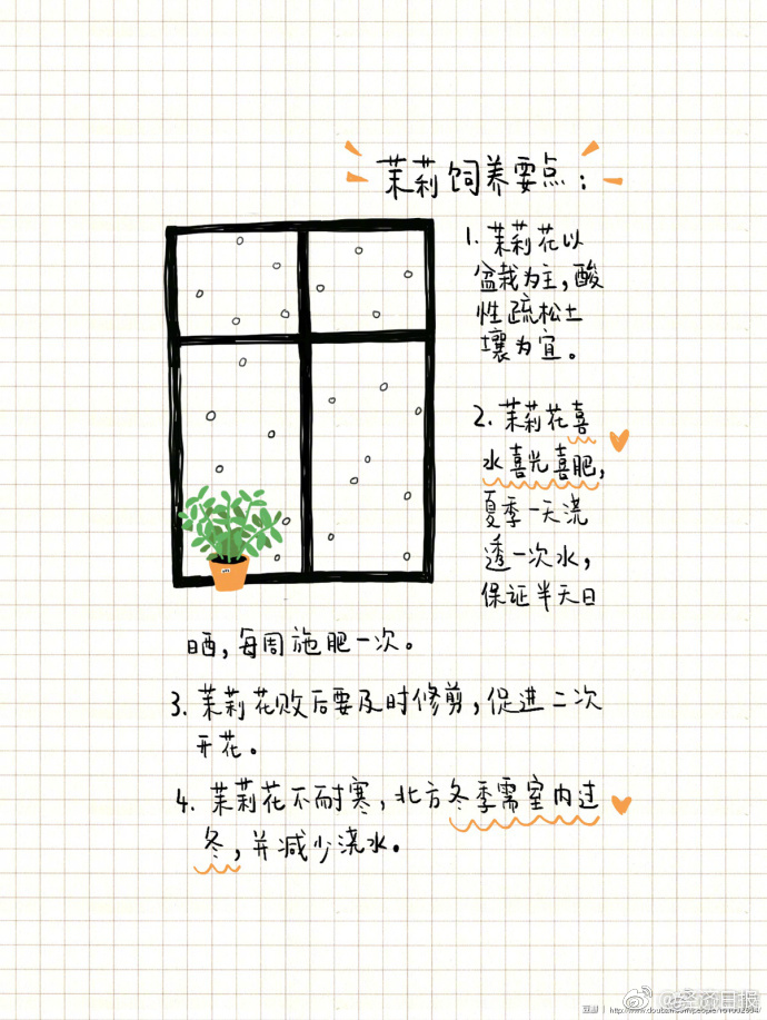 在线 成人 色情