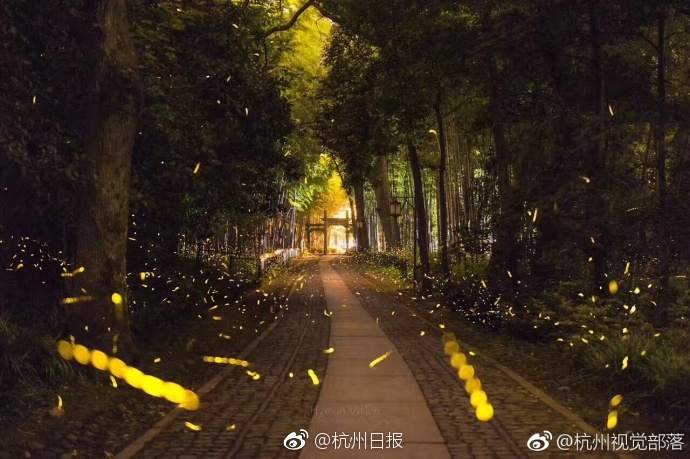 黄色视频三级片