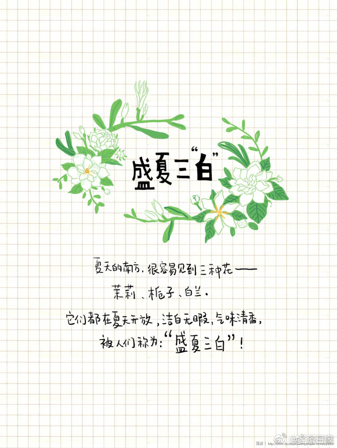 欧美女同脚交