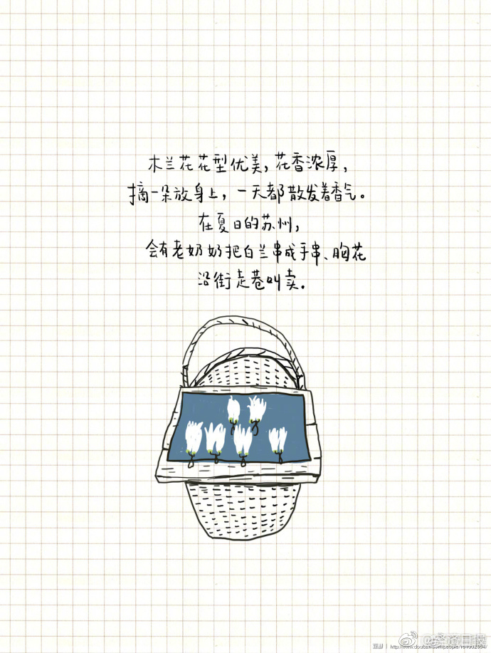 91视频精品