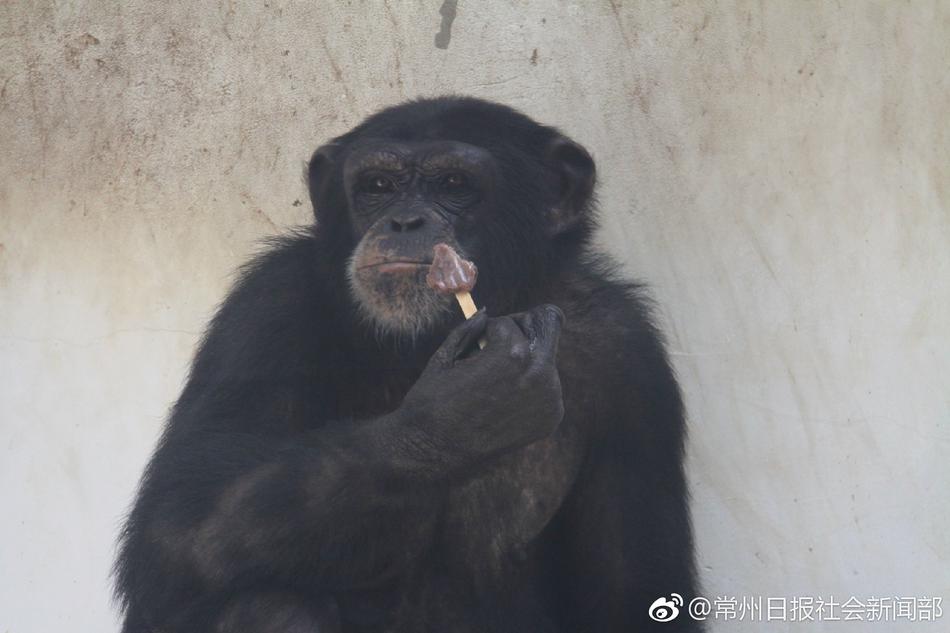 精典台湾三级片Aⅴ在线