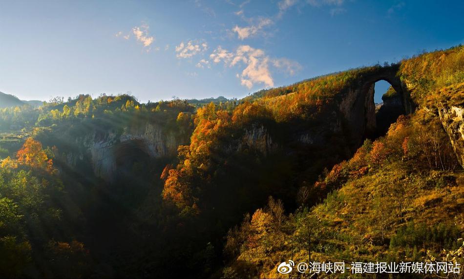 老师脱 让学生摸 小说