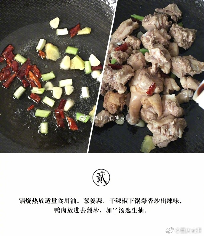 日本家庭乱抡小说