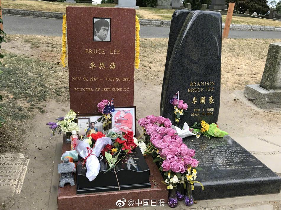 黄色 中文 网