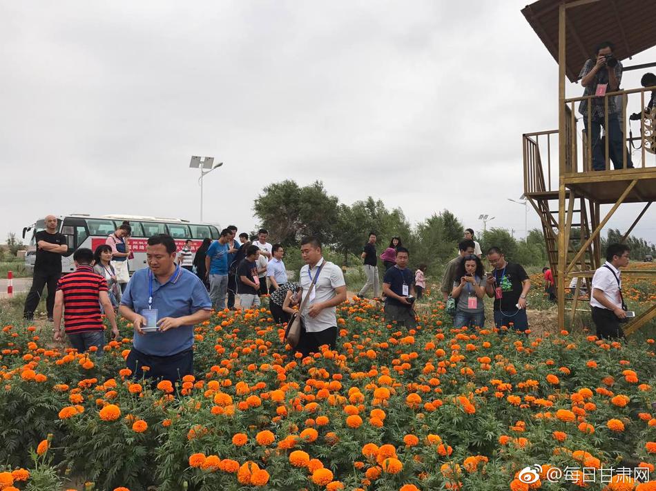 性爱视频无码在线观看高质量网站
