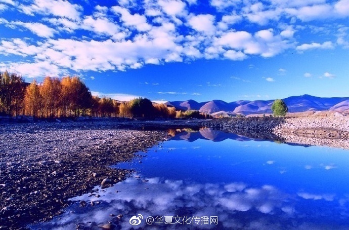 自拍偷拍第一页