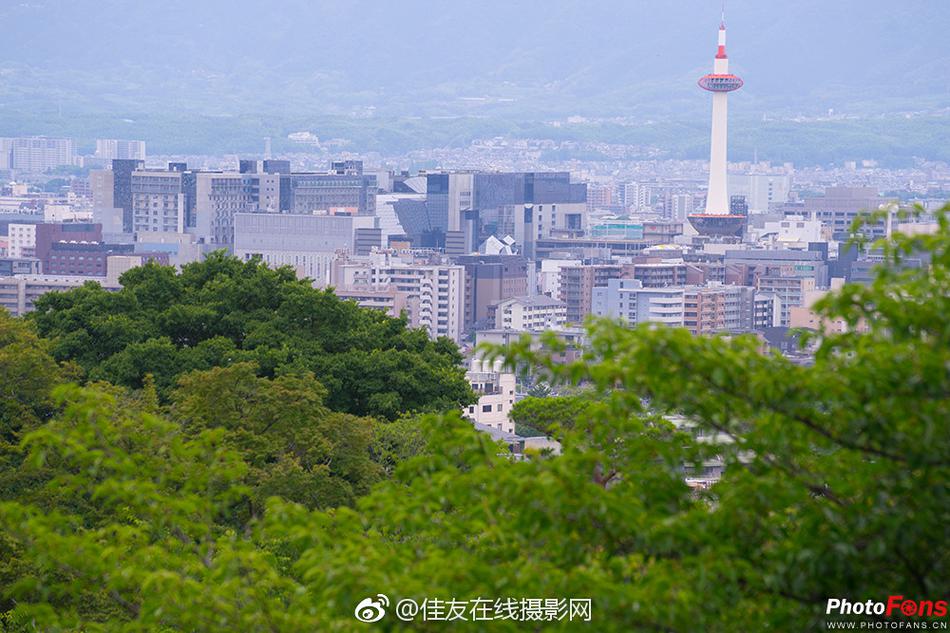 公交车伦理电影