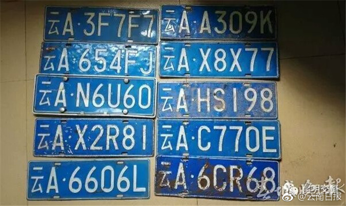 欧美videos另类精品