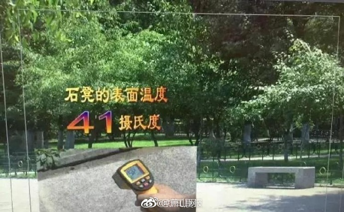 裸体直播视屏