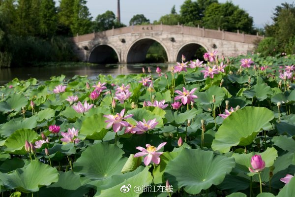 万一情侣主sVK