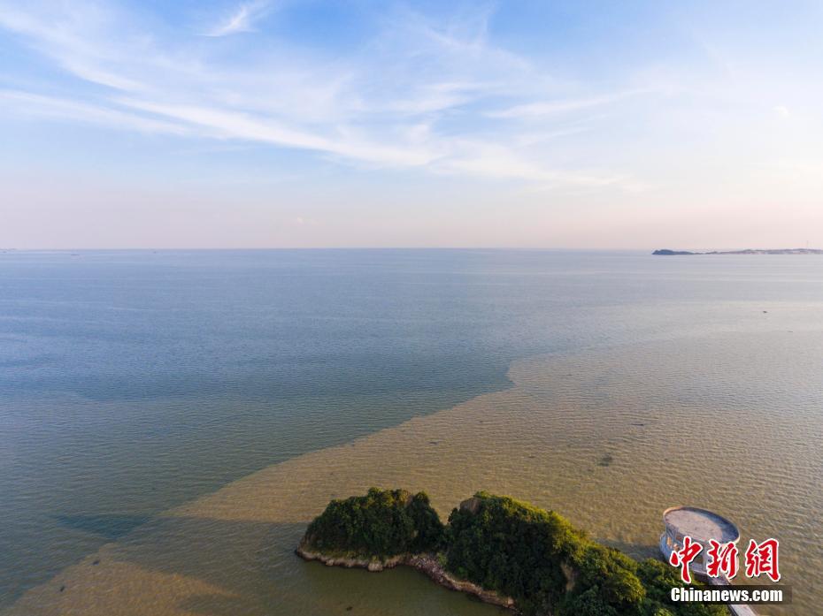 文大母狗瑄兒