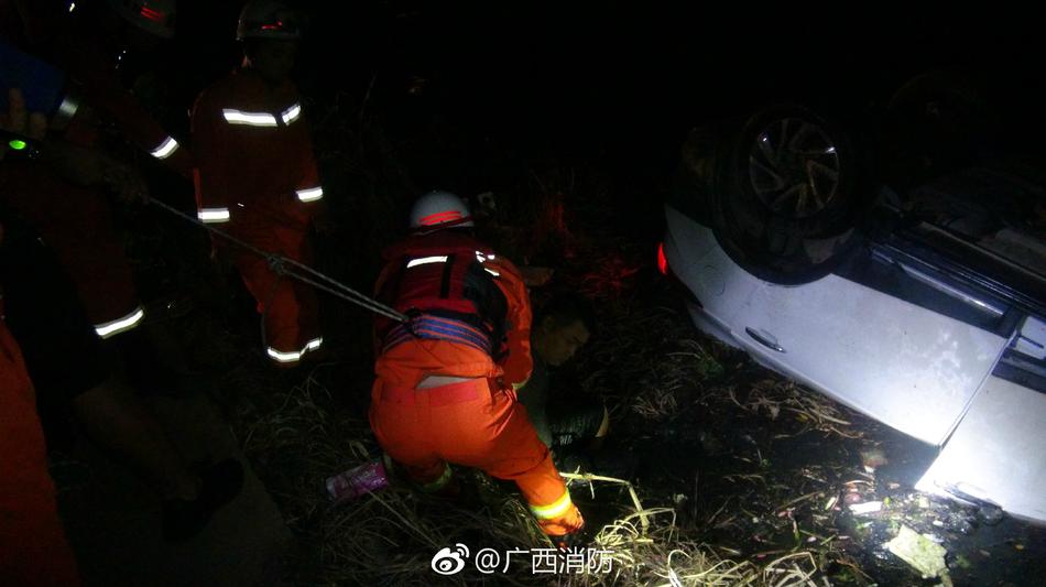 午夜理伦三级做爰电影