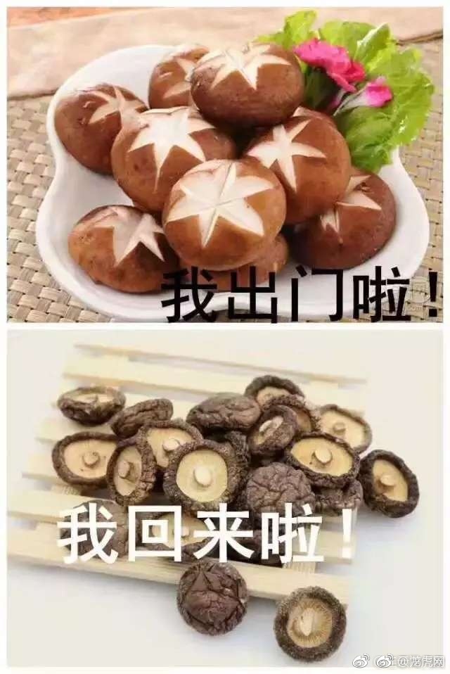 女同 互慰吃奶互揉