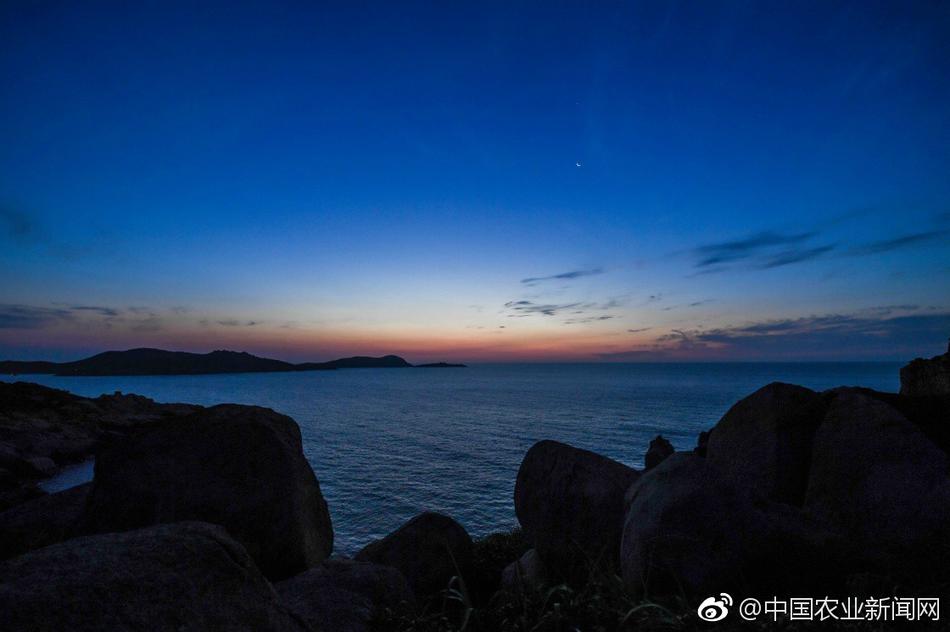 一级AA毛片