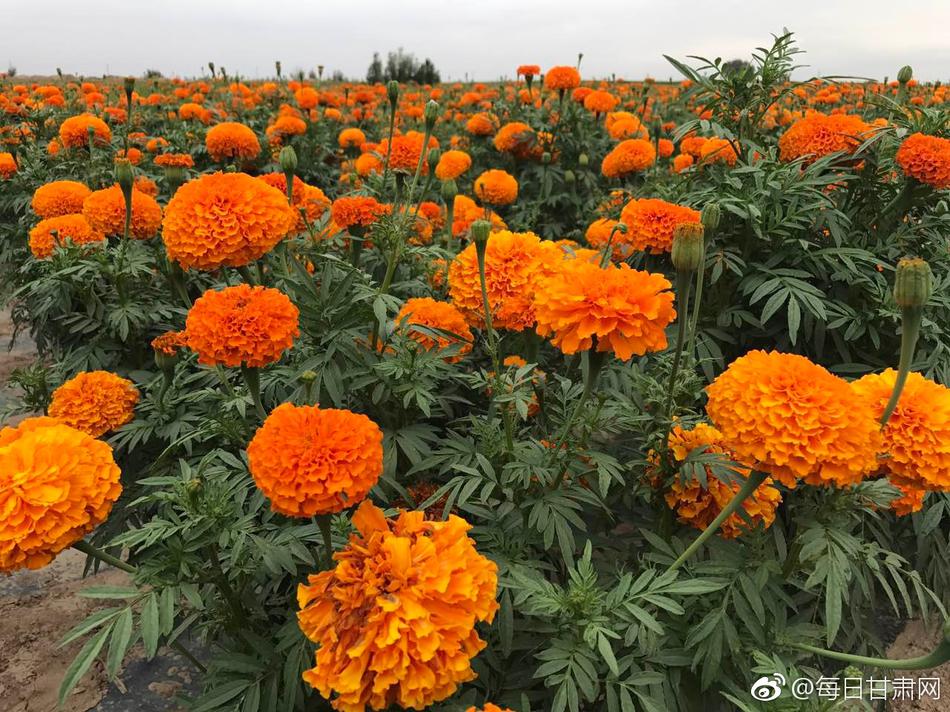 铜铜铜铜铜铜好污WWW网站