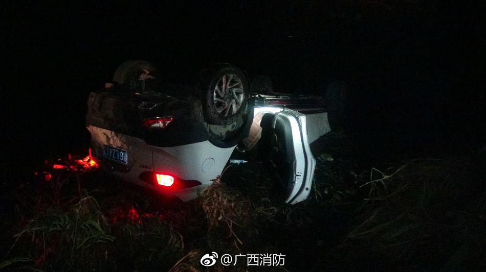 美女黄色网站在线观看