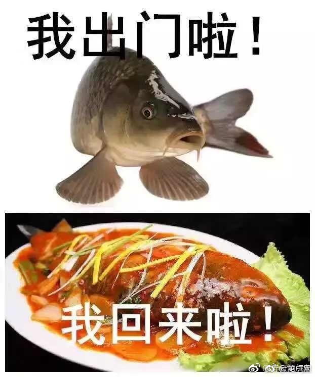 张筱雨裸体集