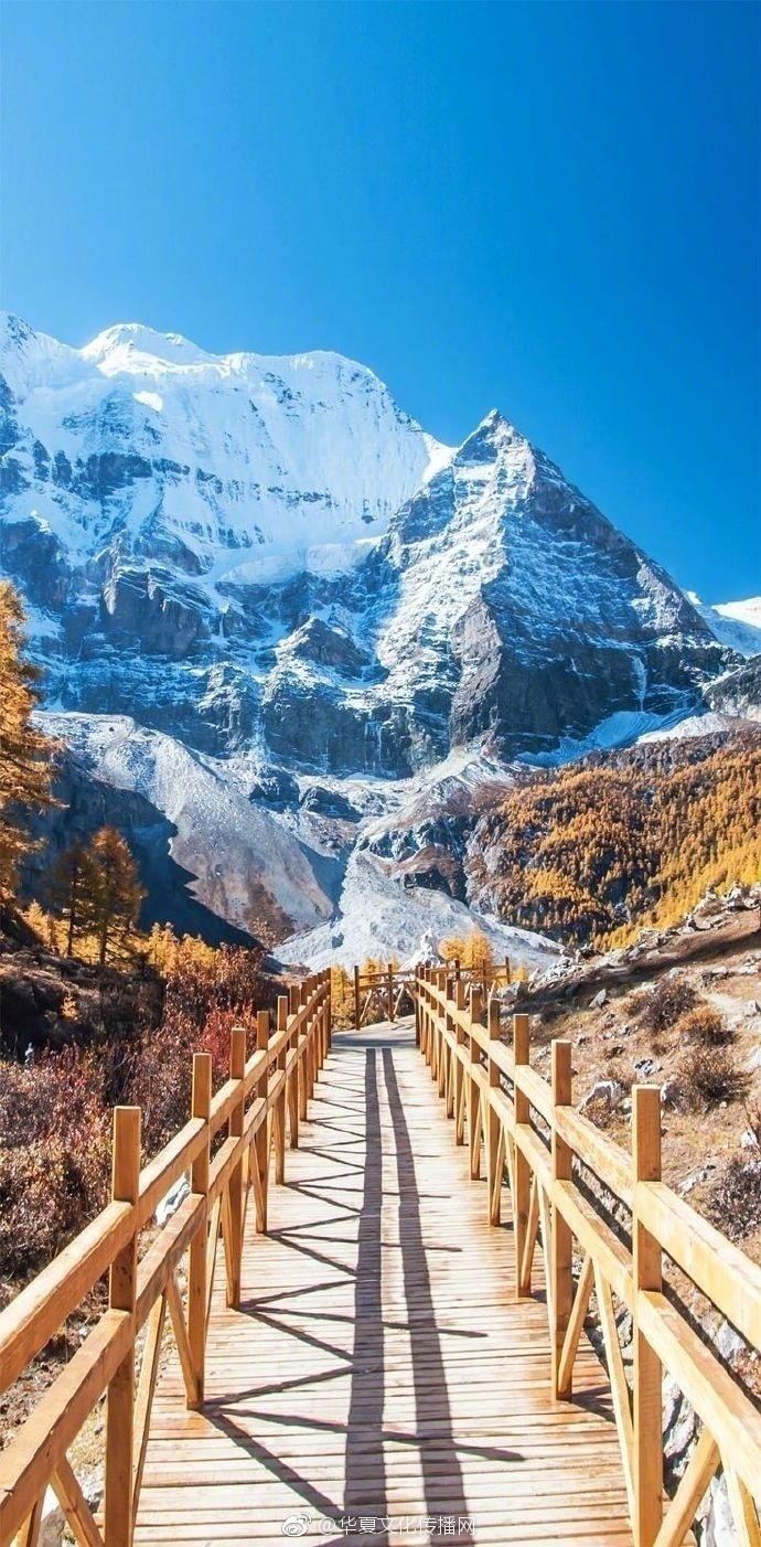 一级a一级a爱片免费免免高潮