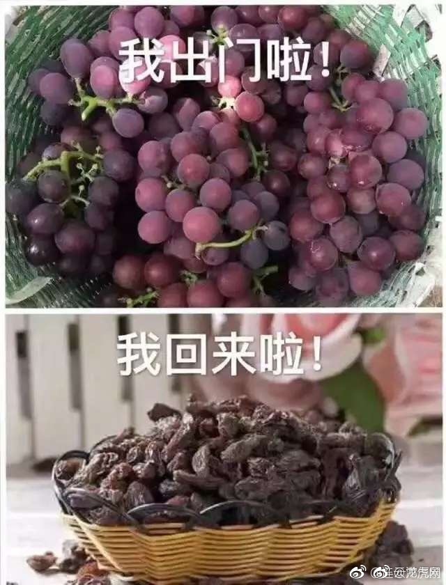 男生肌肌桶女生肌肌