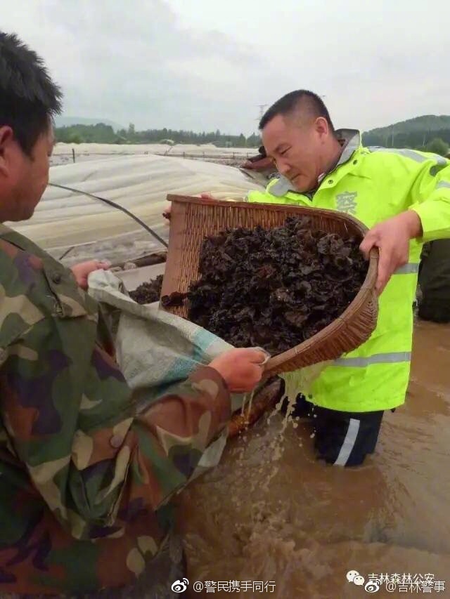 老版台湾三级激情