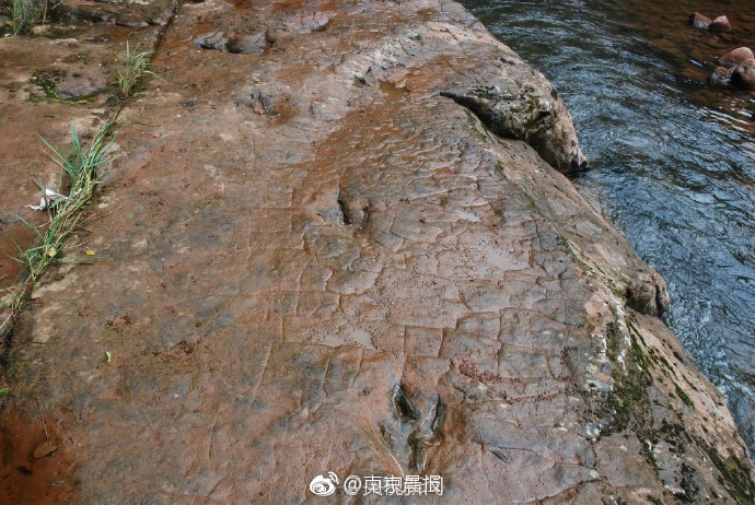 91亚洲精品久久久蜜桃 网站