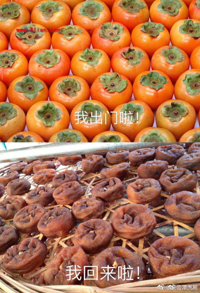 50岁熟女具乐部一级黄片