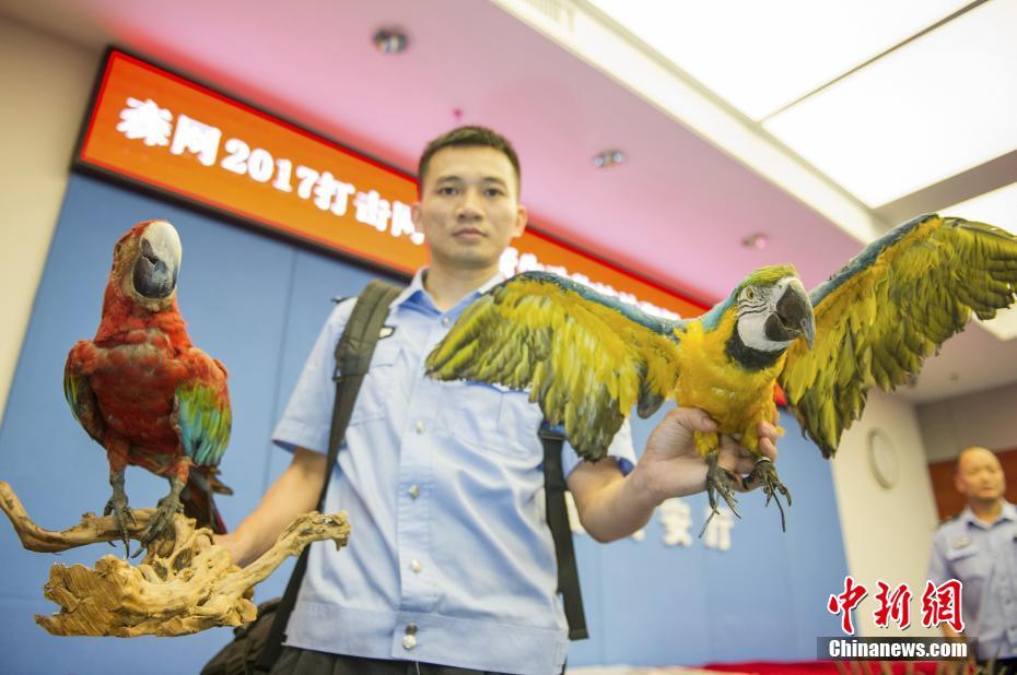 偷拍自拍亚洲