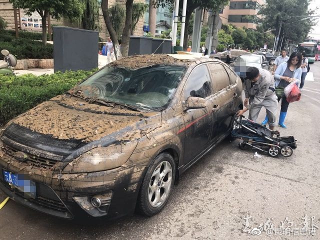 赵唯依