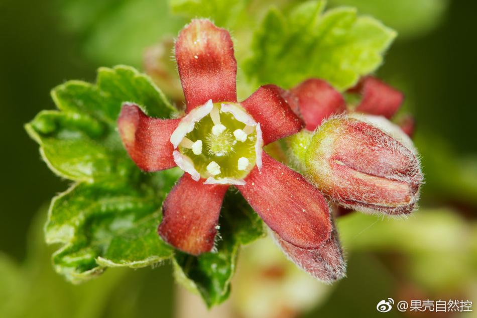 沈清秋哭着喊着让洛冰河退出去