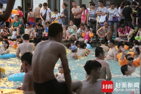 人畜性爱视频