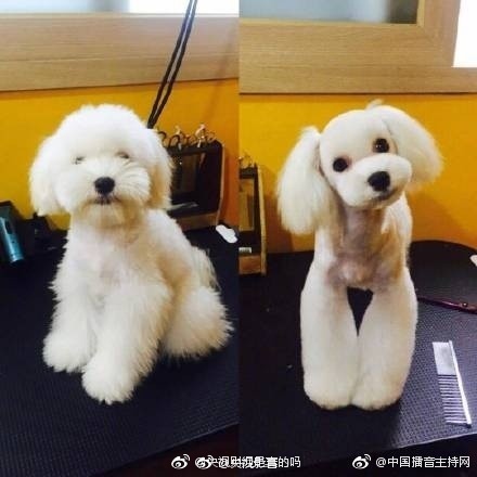 ,大炕上泄欲老女人