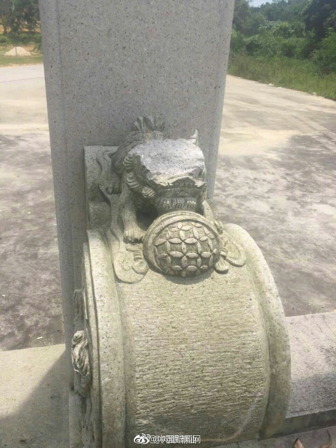 免费看的黄 网站