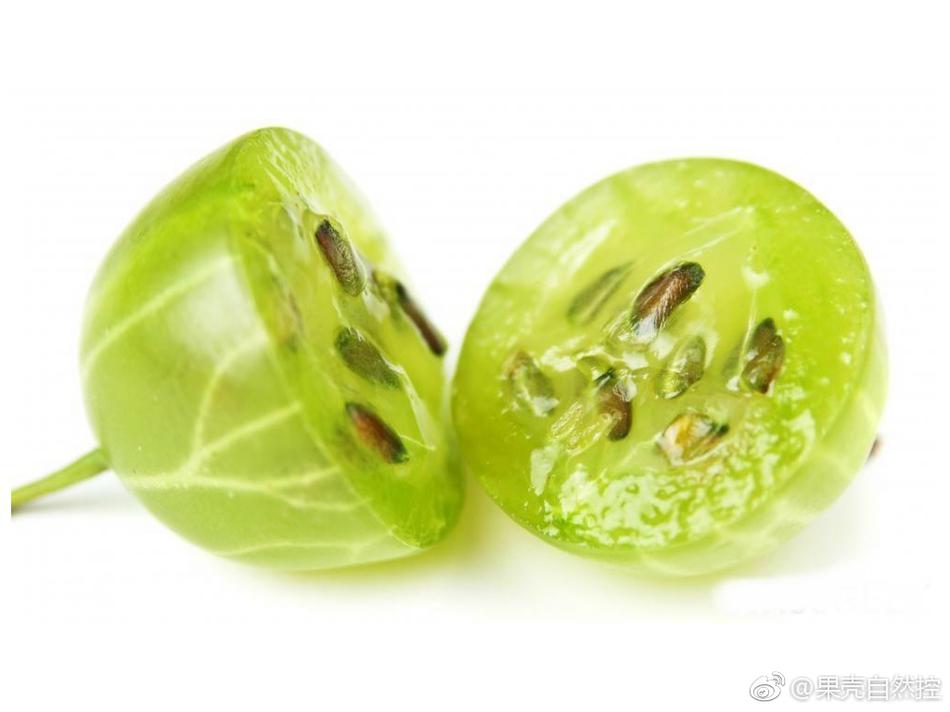 东京热app免费版下载