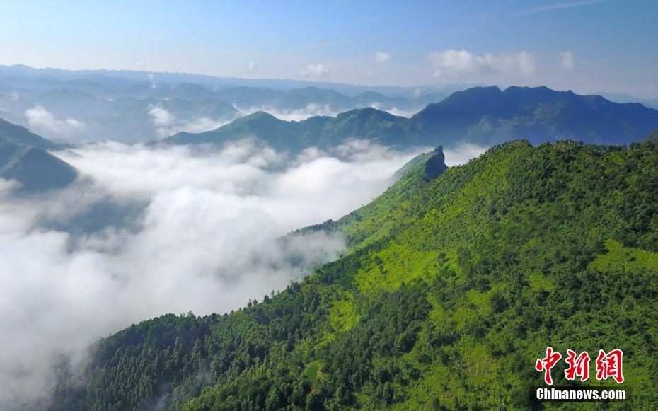老师  流白浆  水