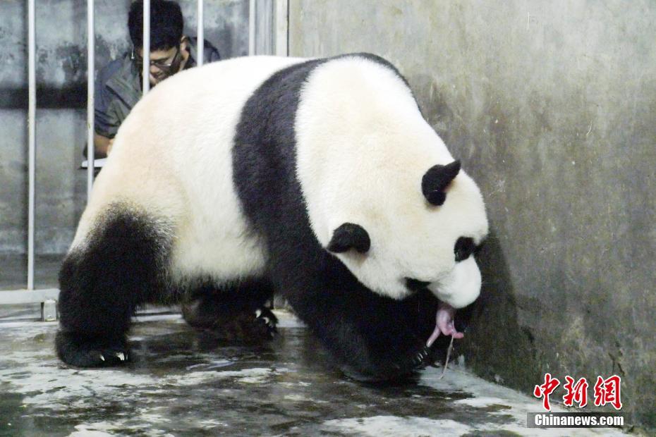Www.黄片免费