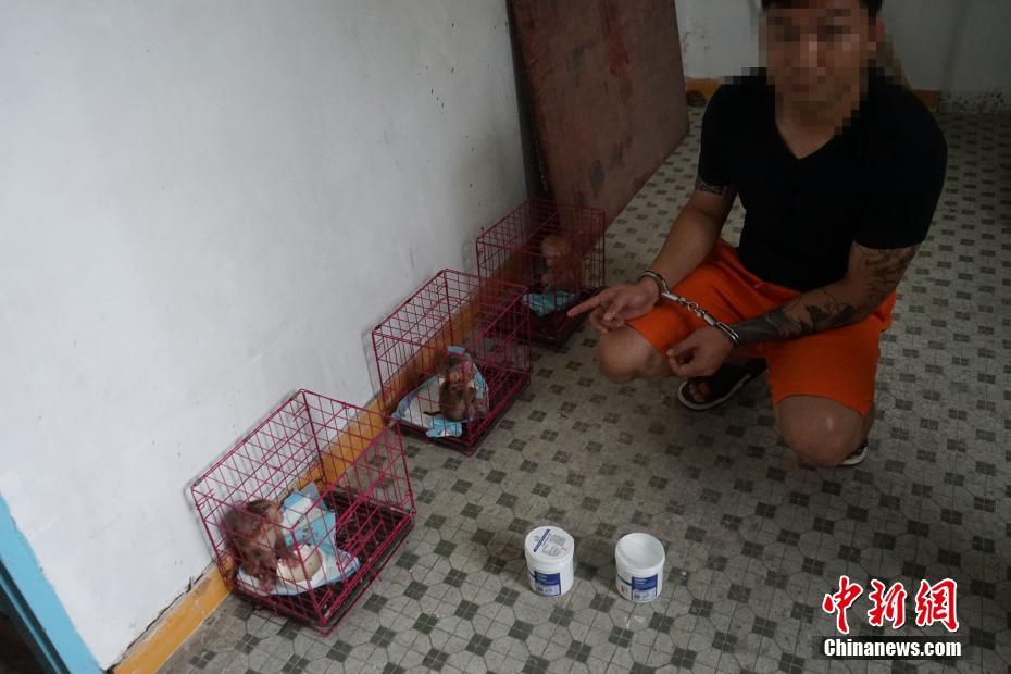 顶级欧美色妇Xxxxx按摩