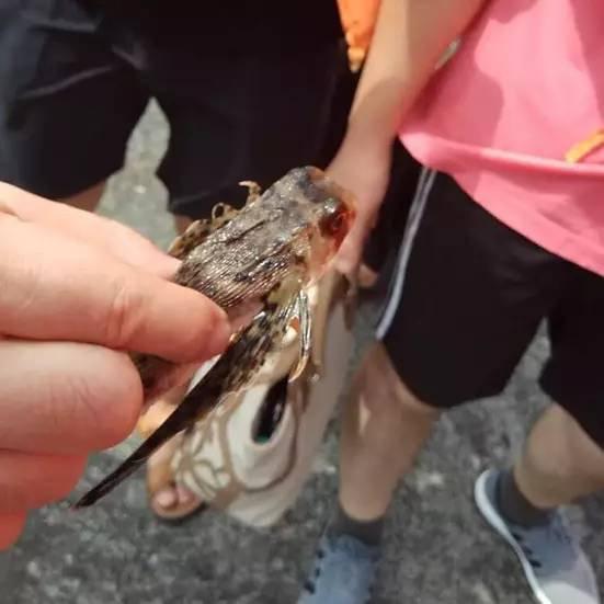 全黄网站动漫