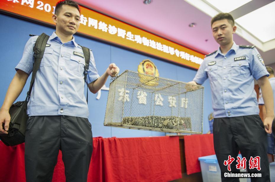91精品国产情侣高潮对白