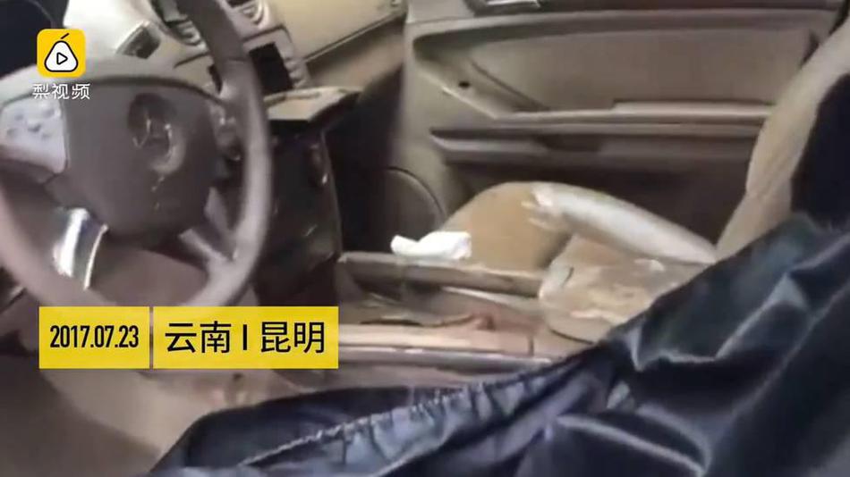 18  脱内衣 动漫网站