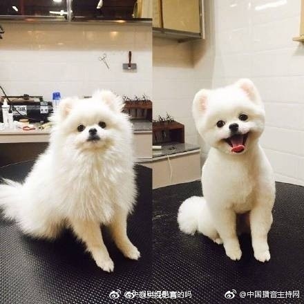 成码无人Av片在线电影网站