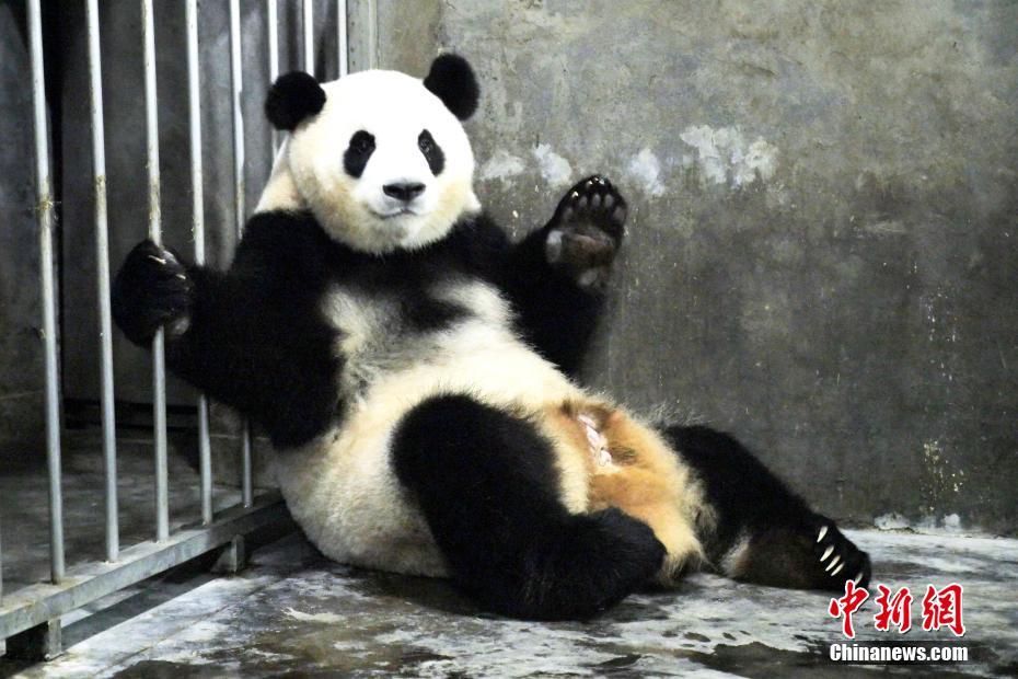 香港女明星谁拍过一级片播放
