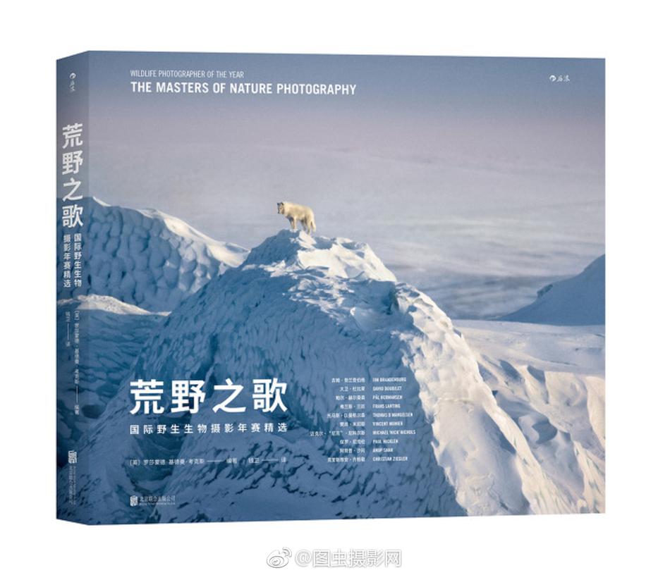 成年人视频免费在线看