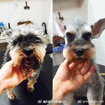 亚洲精品在线观看视频