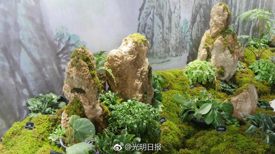 香港艾曼妞