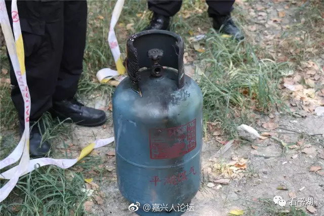 欧美精彩视频伦理
