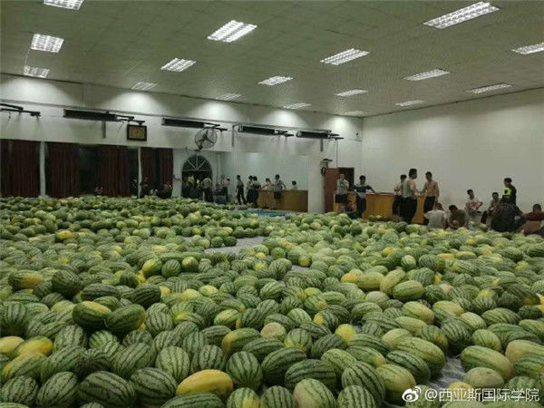 free嫩白12sex性摘花