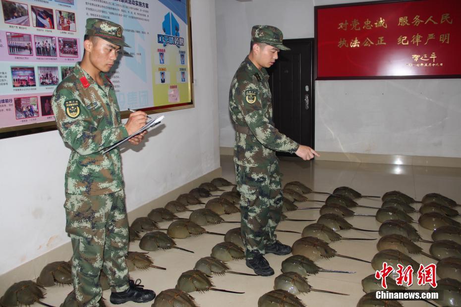 动漫调教